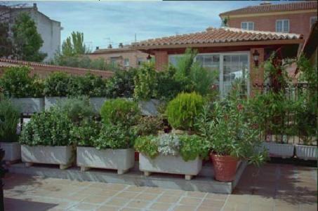 Gran Hostal El Chiscon Colmenar Viejo Εξωτερικό φωτογραφία
